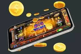 Panel dasbor sontogel menampilkan status tingkatan keanggotaan dan manfaat eksklusif